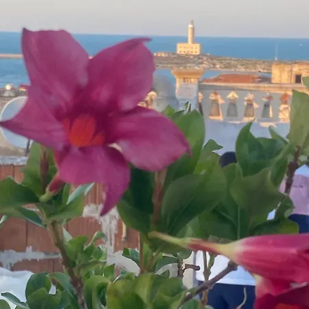 La Casa Adalt Apartament *